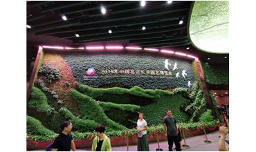 2019北京世園會，我們來啦